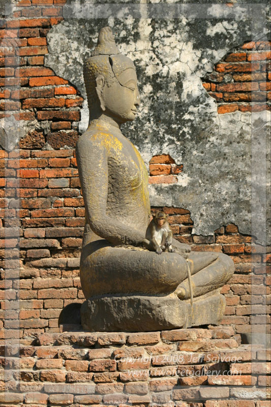 Disrespecting Budha - Monkeys at Lopburi - Thailand
