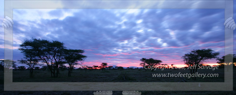 Sunrise in the Serengeti<BR>Serengeti, Tanzania