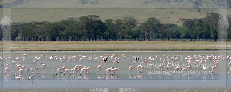 Flamingo Resort<BR>Ngorongoro Crater, Tanzania